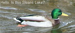 Sloans Lake managed care